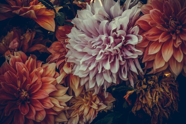 Mobilier design haut de gamme : découvrez nos pièces uniques !